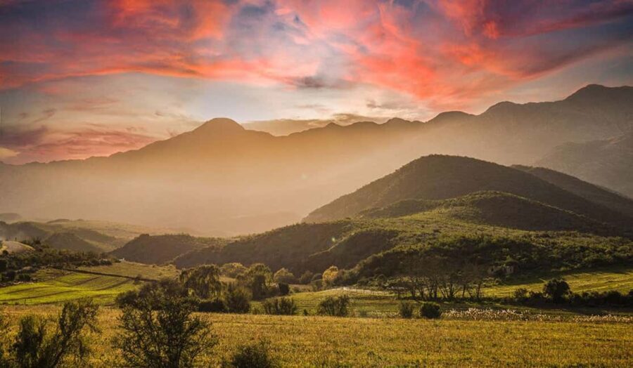 Private Oudtshoorn Full Day Tour - Authentic Experiences & Review Insights