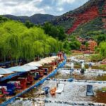 Private Ourika Valley & Atlas Mountains Tour with lunch - Practical Details: Transportation, Timing, and Cost