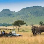 Private Overnight Maasai Mara Safari Tour from Nairobi - What Makes This Tour Stand Out?