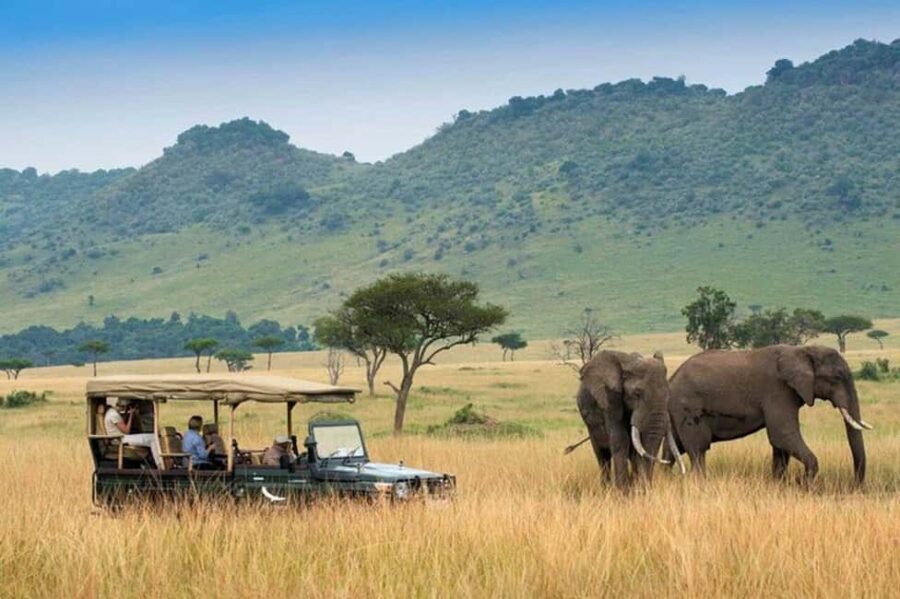 Private Overnight Maasai Mara Safari Tour from Nairobi - What Makes This Tour Stand Out?