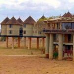 PRIVATE OVERNIGHT SALTLICK SAFARI FROM MOMBASA OR DIANI - What to Expect: A Detailed Look at the Itinerary