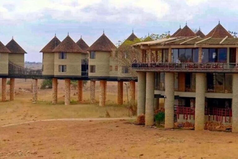 PRIVATE OVERNIGHT SALTLICK SAFARI FROM MOMBASA OR DIANI - What to Expect: A Detailed Look at the Itinerary