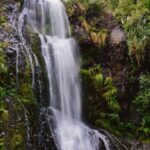 Private Piha Beach, Rainforest Adventure & Mt. Eden with Guide - Why This Tour Works Well