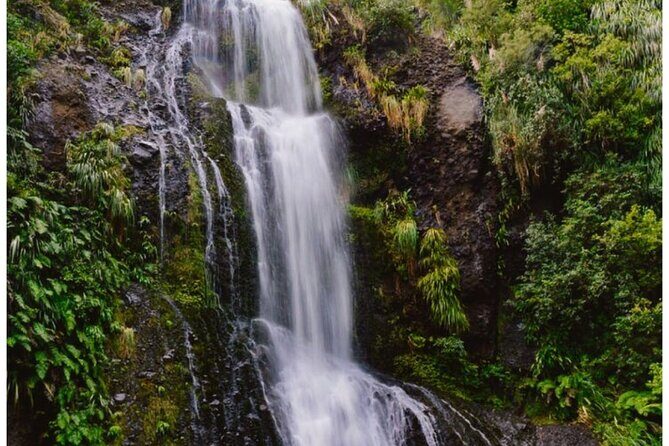Private Piha Beach, Rainforest Adventure & Mt. Eden with Guide - Why This Tour Works Well
