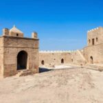 Private Qobustan, Mud Vulcano, Ateshgah, and Yanardag tour - What’s Included and What’s Not?