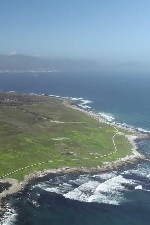 Private Robben Island, Waterfront and Bo-Kaap Half-Day Tour. - An In-Depth Look at the Tour Itinerary
