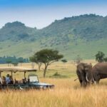 Private Safari Day-Tour in Amboseli National Park - What Sets This Tour Apart? The Practical Perspective