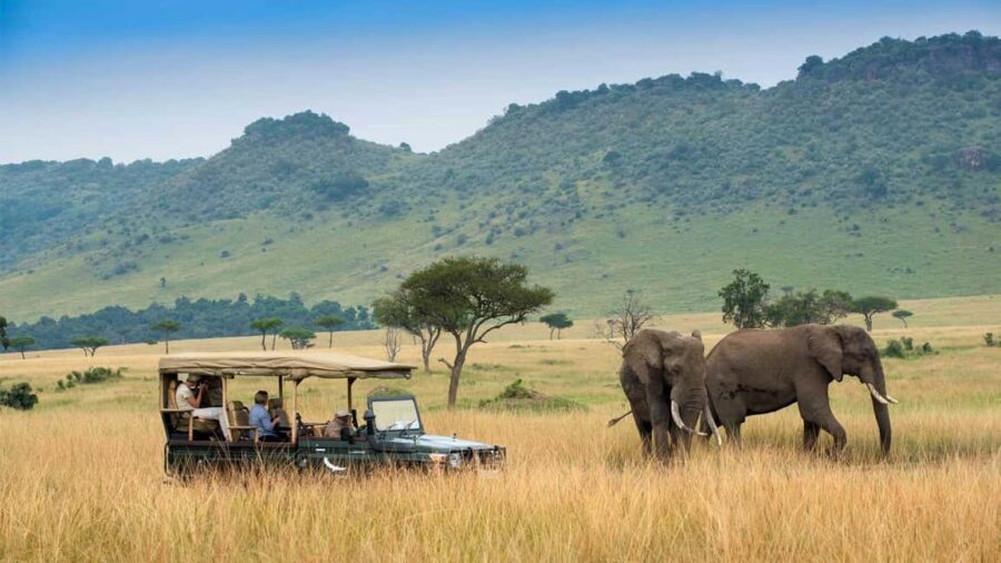 Private Safari Day-Tour in Amboseli National Park - What Sets This Tour Apart? The Practical Perspective