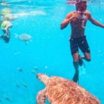 Private Snorkel Experience with Sea Turtle for Cruisers - Who Will Love This Tour?