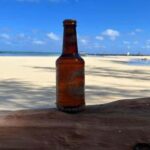 Private Speedboat to Bernache Island & Mauritius Mangroves - Exploring the Itinerary in Detail