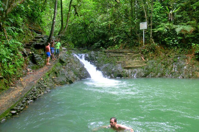 Private Suva Nature and Waterfall Tour - Details That Matter: Price, Duration, and Value