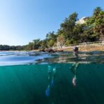Private Sydney Snorkeling Experience: Explore Cabbage Tree Bay - Summary of the Experience