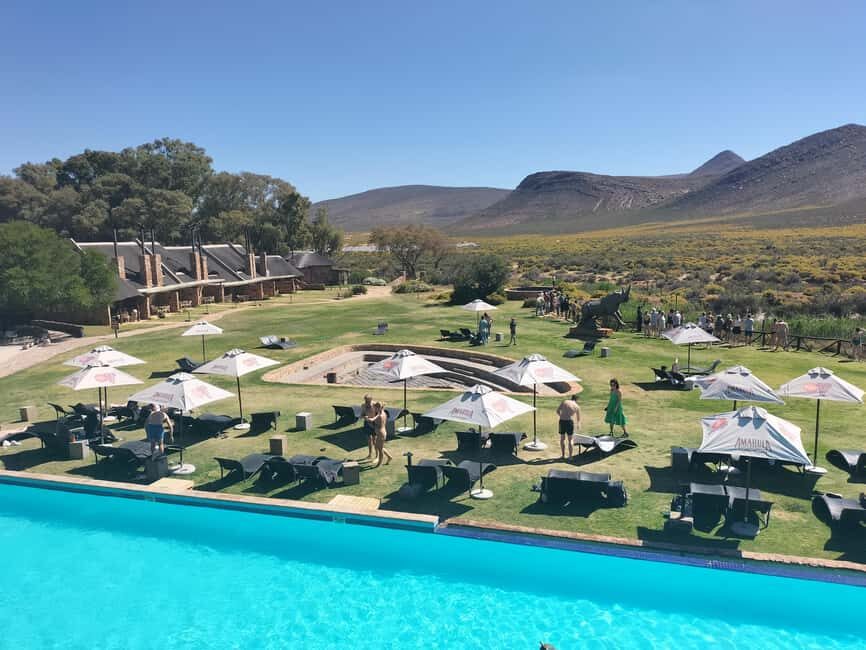 Private Tour: 2-Day Safari at 4-Star Private Game Reserve - Itinerary Breakdown: The Day-to-Day Details