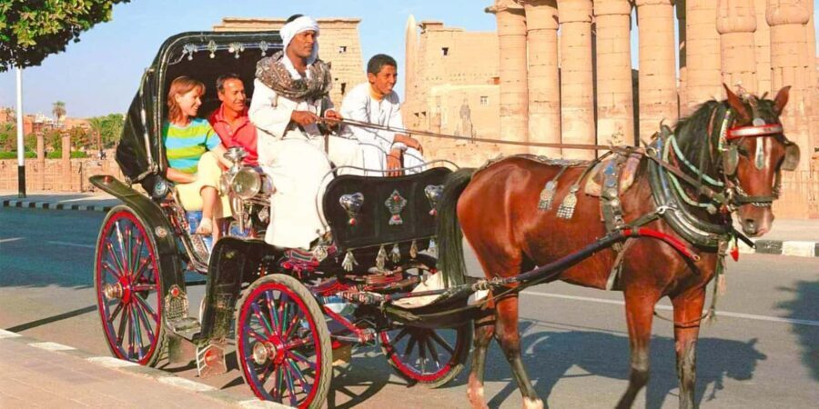 Private Tour Alexandria By Night By Horse Carriage ride - The Itinerary in Detail