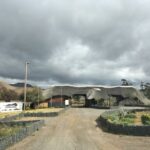 Private Tour: Big 5 Safari, Experience the wild animals - Setting the Scene: What to Expect on Your Safari