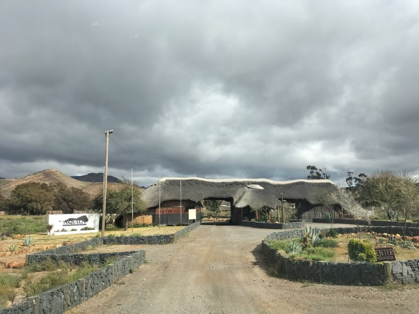 Private Tour: Big 5 Safari, Experience the wild animals - Setting the Scene: What to Expect on Your Safari