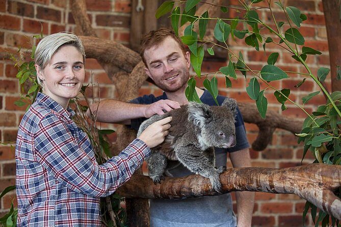Private Tour: Blue Mountains Day Trip from Sydney - Detailed Breakdown of the Tour