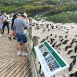 Private Tour: Cape Point, Penguins, Chapmans Peak & more... - Why This Tour Offers Excellent Value