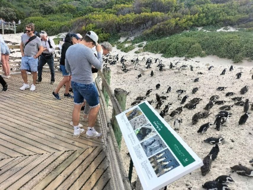 Private Tour: Cape Point, Penguins, Chapmans Peak & more... - Why This Tour Offers Excellent Value