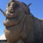 Private Tour from Sydney to Canberra - Practical Considerations