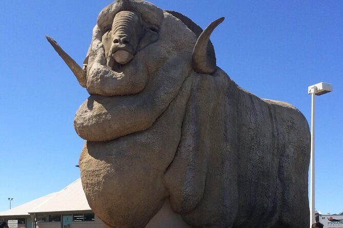 Private Tour from Sydney to Canberra - Practical Considerations