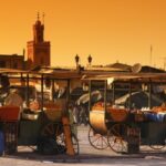 Private Tour: Half-Day Sightseeing Tour of Marrakech - Why This Tour Is Worth Considering
