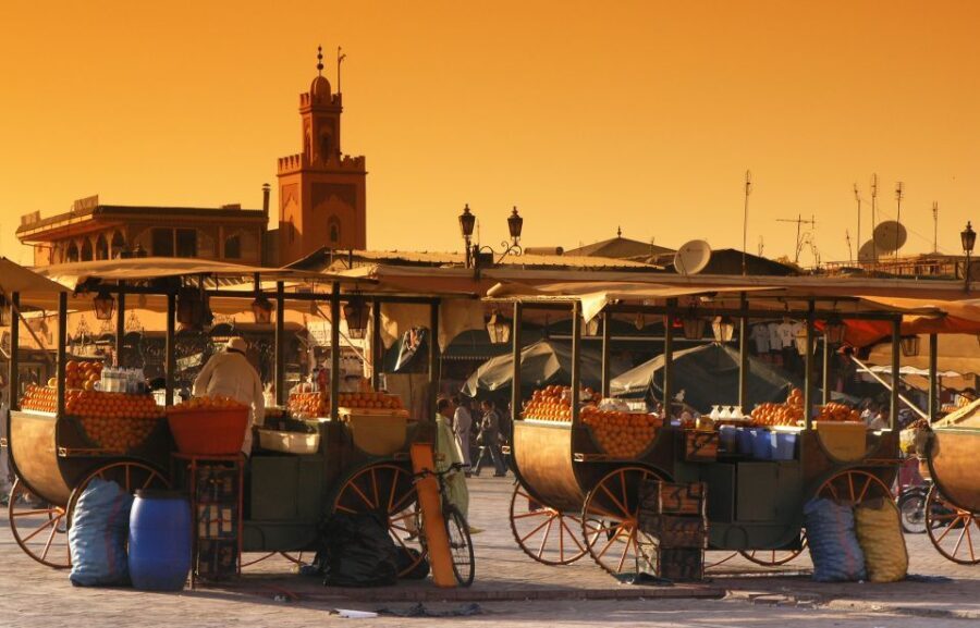 Private Tour: Half-Day Sightseeing Tour of Marrakech - Why This Tour Is Worth Considering