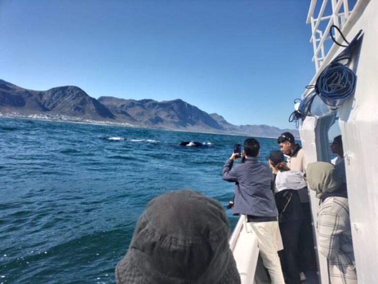 Private Tour: Hermanus- Boat Based Whale Watching Experience - The Experience in Depth: What’s Included and What’s Not