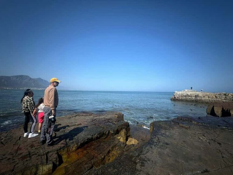 Private Tour: Hermanus Whale Watching & Penguin Colony Visit - Practical Details & Value