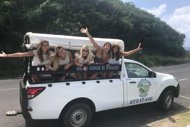 Private Tour Moorea 4WD - Belvedere Pineapple Farm, Magic Mount. - Who Should Consider This Tour?
