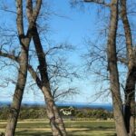Private Tour: Mornington Peninsula Wine, Beer & Hotsprings - Who Will Love This Tour?