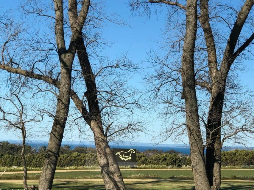 Private Tour: Mornington Peninsula Wine, Beer & Hotsprings - Who Will Love This Tour?