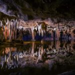 Private Tour: Private Tour: Waitomo Caves (Flexible) - What to Expect on the Tour