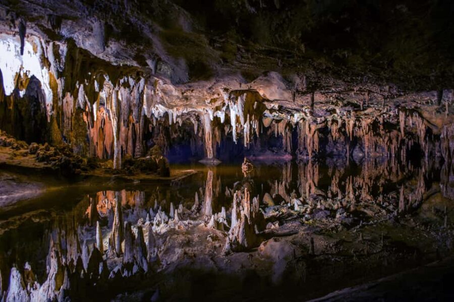 Private Tour: Private Tour: Waitomo Caves (Flexible) - What to Expect on the Tour