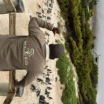 Private tour, Swim with Penguins at Boulders Beach - The Itinerary in Detail