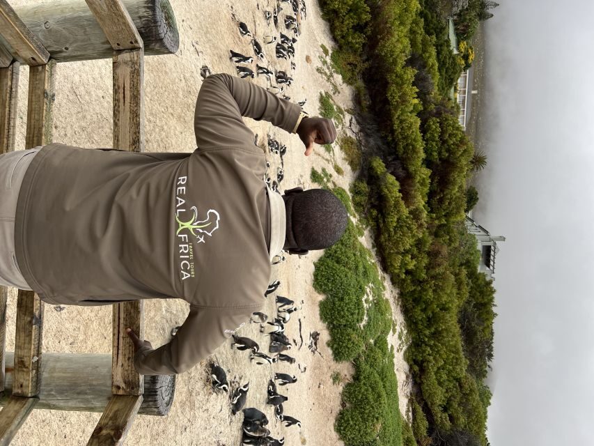 Private tour, Swim with Penguins at Boulders Beach - The Itinerary in Detail