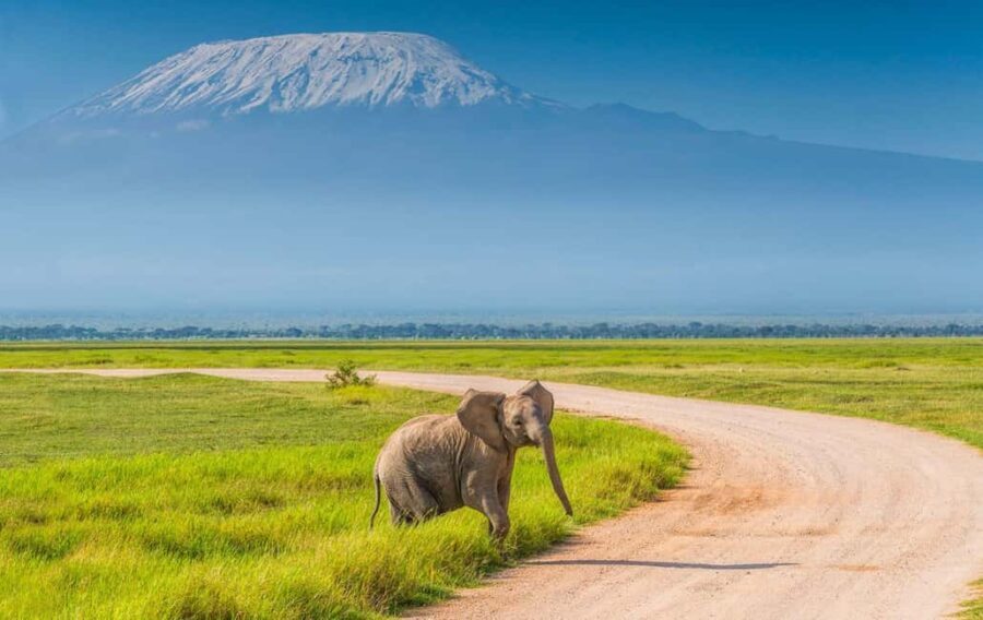 Private Tour to Amboseli National Park - Why This Tour Offers Good Value