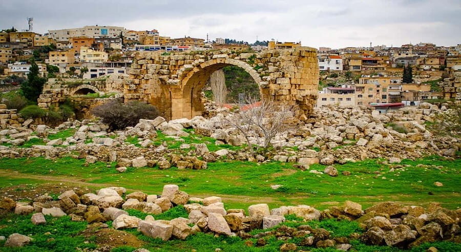 Private Tour to Jerash and Ajloun from Amman - Value and Considerations