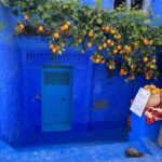 Private tour to the blue city Chefchaouen - Why This Tour Stands Out