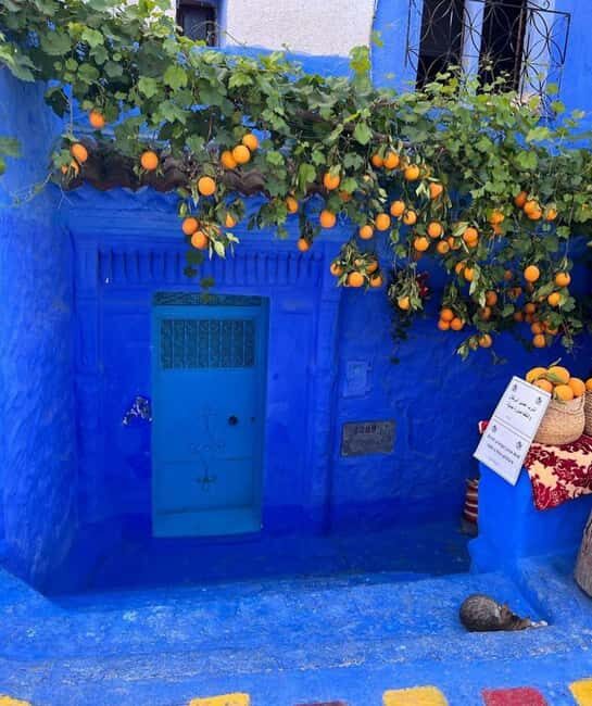 Private tour to the blue city Chefchaouen - Why This Tour Stands Out
