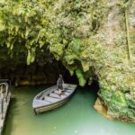 Private Tour Waitomo Caves from Auckland - What’s Included and What to Budget For