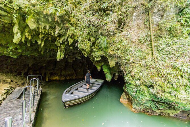 Private Tour Waitomo Caves from Auckland - What’s Included and What to Budget For