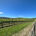 Private Tour: Yarra Valley Wine, Cheese, Gin & Chocolatrie - The Value of a Private Tour