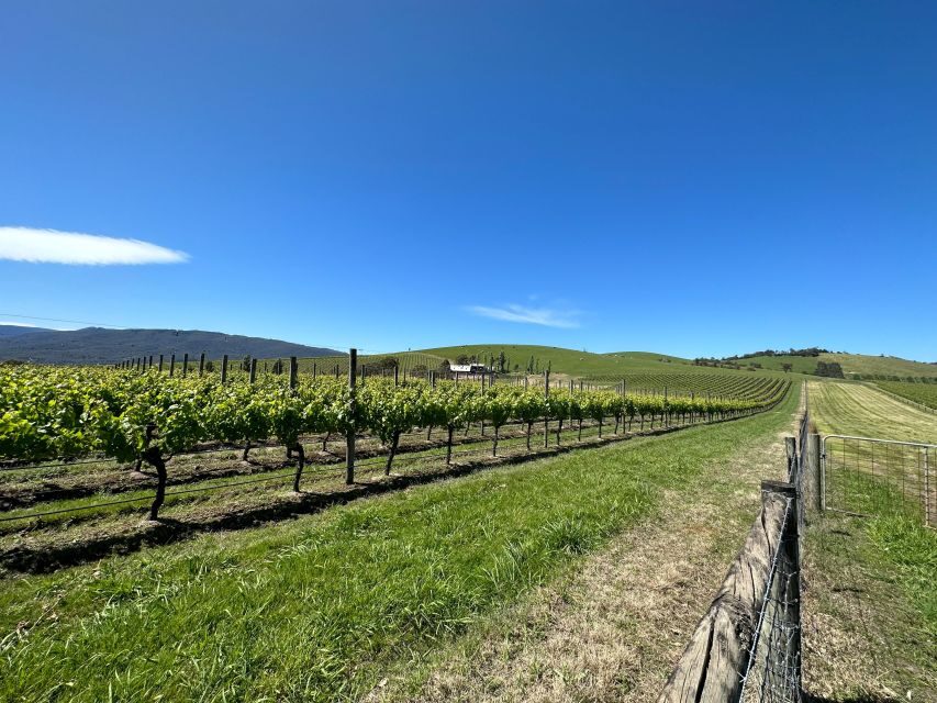 Private Tour: Yarra Valley Wine, Cheese, Gin & Chocolatrie - The Value of a Private Tour