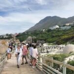 Private Tour:Cape Peninsula &Penguin Beach, Cape Point &more - Exploring the Itinerary: What Makes This Tour Stand Out