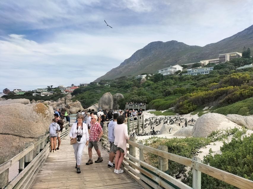Private Tour:Cape Peninsula &Penguin Beach, Cape Point &more - Exploring the Itinerary: What Makes This Tour Stand Out