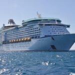 Private Transfer from Adelaide Cruise Port to Adelaide city - Why This Transfer Works Well for Different Travelers