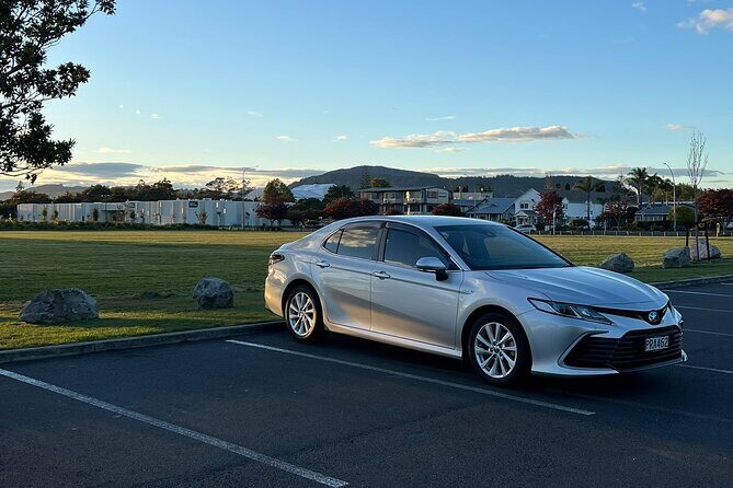 Private Transfer From Auckland Airport To Morrinsville - Deep Dive into the Experience