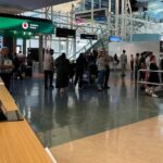 Private Transfer From Auckland Airport To West Auckland - What Travelers Say About This Service