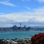 Private Transfer From Auckland City To Auckland Airport Oaks - An In-Depth Look at the Private Transfer Service